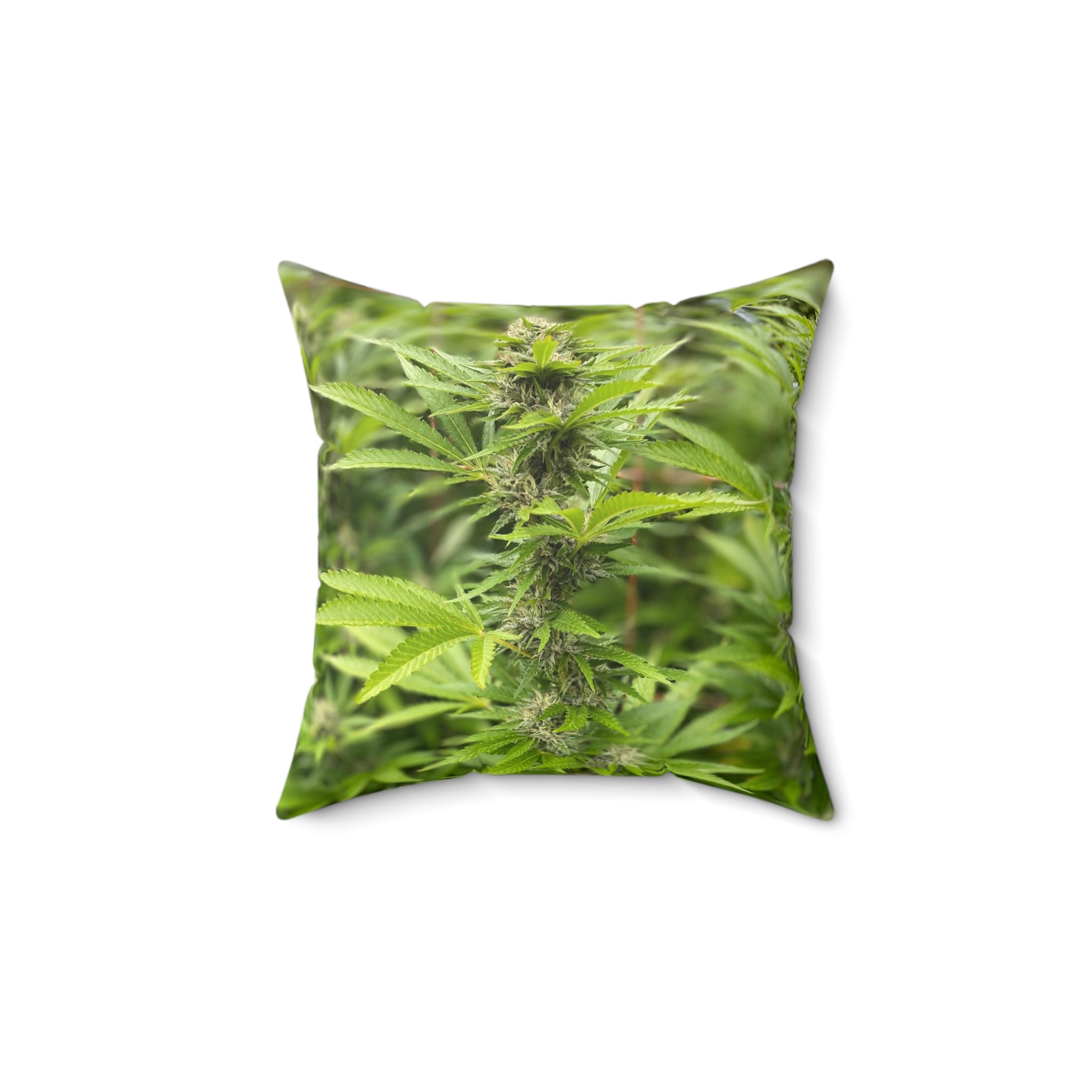 DIXL "Jonesin" Faux Suede Square Pillow